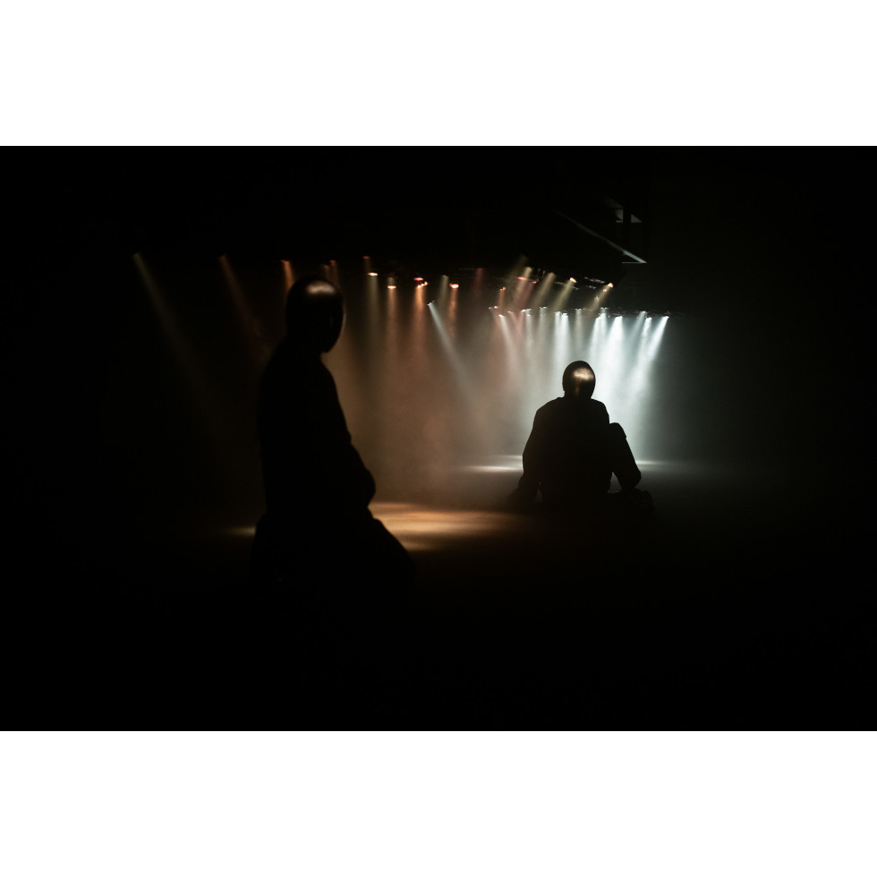<a href="https://www.ueshima-collection.com/artist-list/329" style="color:inherit">PIERRE HUYGHE</a>:Idiom