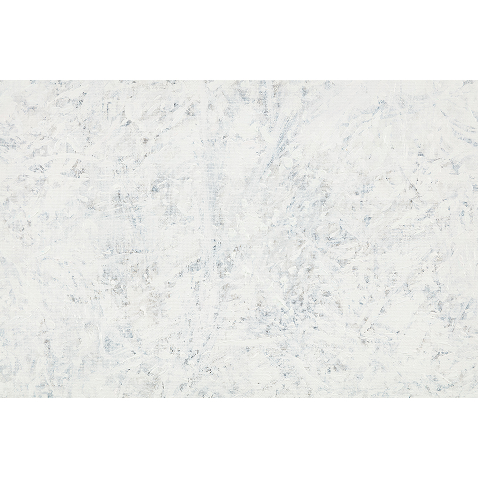 <a href="https://www.ueshima-collection.com/artist-list/20" style="color:inherit">畑山太志</a> / <a href="https://www.ueshima-collection.com/artist-list/20" style="color:inherit">TAISHI HATAYAMA</a>:光を与える