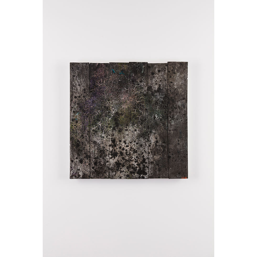 <a href="https://www.ueshima-collection.com/artist-list/55" style="color:inherit">多田圭佑</a> / <a href="https://www.ueshima-collection.com/artist-list/55" style="color:inherit">KEISUKE TADA</a>:trace/wood #80