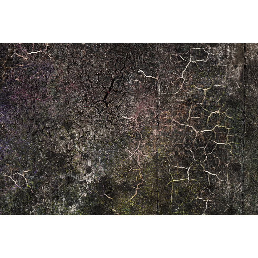 <a href="https://www.ueshima-collection.com/artist-list/55" style="color:inherit">多田圭佑</a> / <a href="https://www.ueshima-collection.com/artist-list/55" style="color:inherit">KEISUKE TADA</a>:trace/wood #80