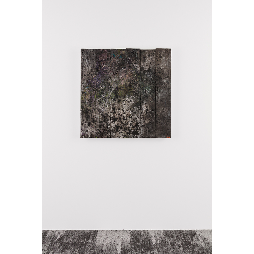 <a href="https://www.ueshima-collection.com/artist-list/55" style="color:inherit">多田圭佑</a> / <a href="https://www.ueshima-collection.com/artist-list/55" style="color:inherit">KEISUKE TADA</a>:trace/wood #80