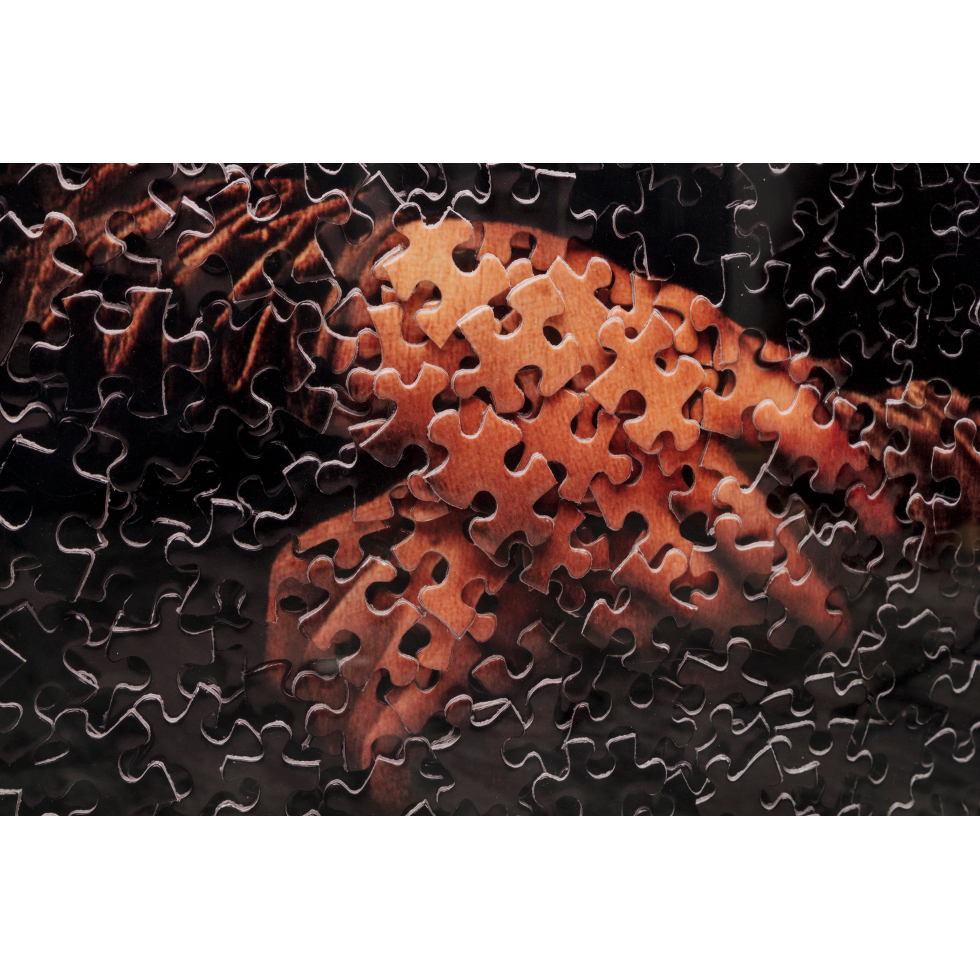 <a href="https://www.ueshima-collection.com/artist-list/43" style="color:inherit">VIK MUNIZ</a>:Mona Lisa, after Leonardo da Vinci from Gordian Puzzles