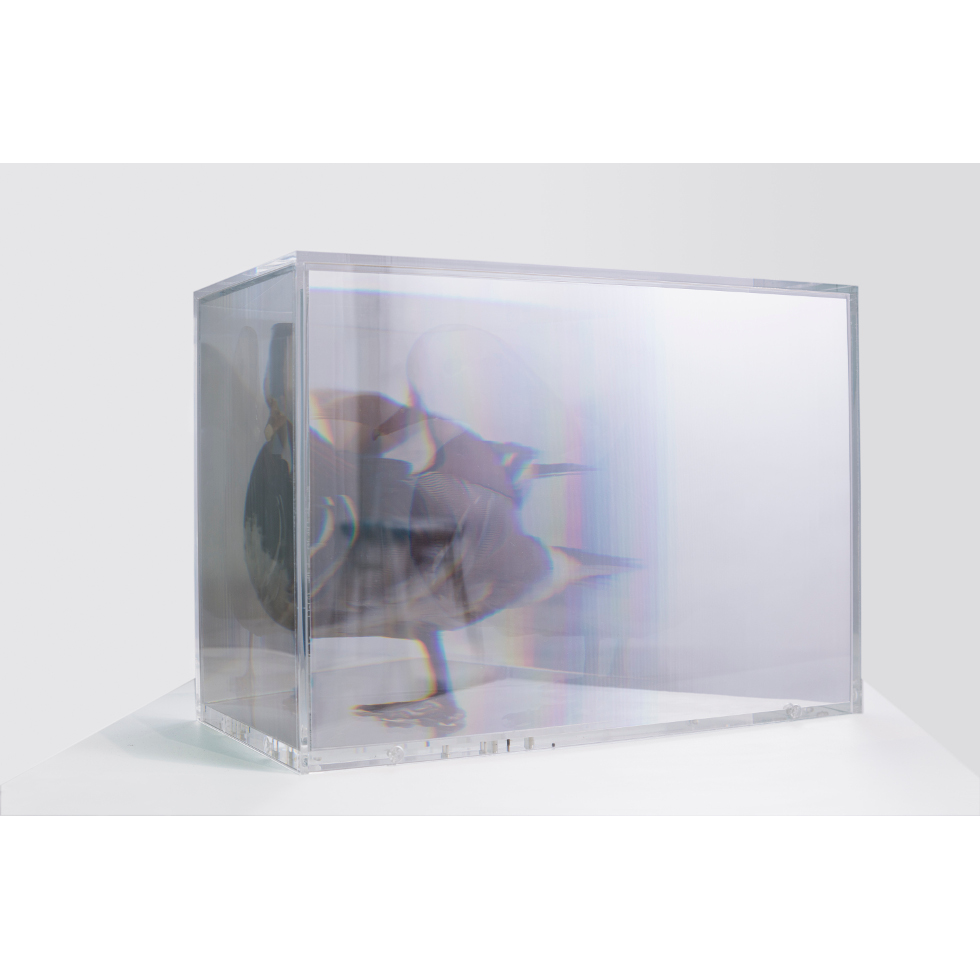 <a href="https://www.ueshima-collection.com/artist-list/5" style="color:inherit">名和晃平</a> / <a href="https://www.ueshima-collection.com/artist-list/5" style="color:inherit">KOHEI NAWA</a>:PixCell [Mandarin Duck]