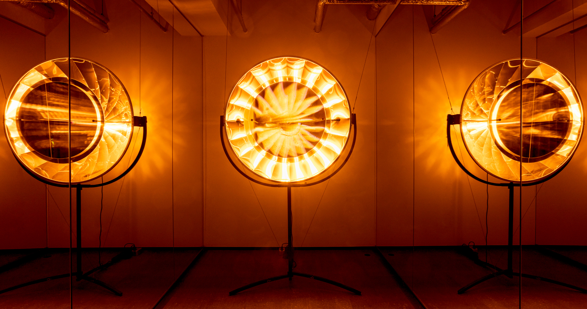 Olafur Eliasson:Eye see you